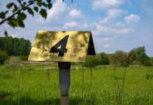 4G-model: inzicht in gedrag en emoties in de huisartsenpraktijk