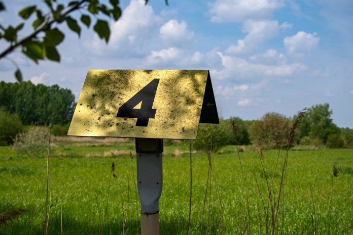 4G-model