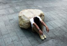 Het NEMESIS-onderzoek: inzicht in prevalentie en beloop van psychische aandoeningen in Nederland