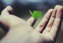 VINDICATE-GG: systematisch differentiëren in de huisartsenpraktijk