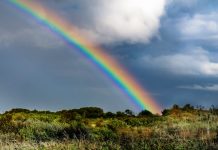 Het regenboogmodel in de zorg