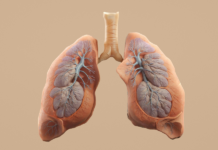 Patiënt overleeft 48 uur zonder longen dankzij experimentele brug naar transplantatie